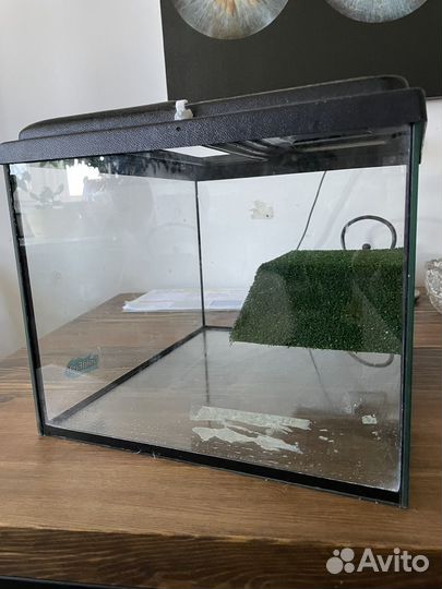 Аквариум
