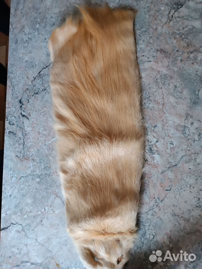 Андатра цельная