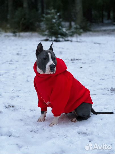 Одежда худи для собак на заказ