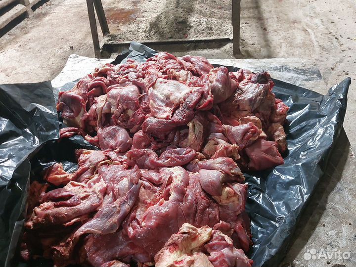 Мясо собакам