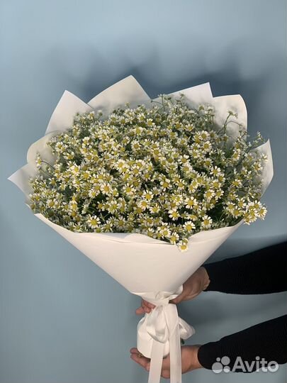 Ромашка букет цветы с доставкой
