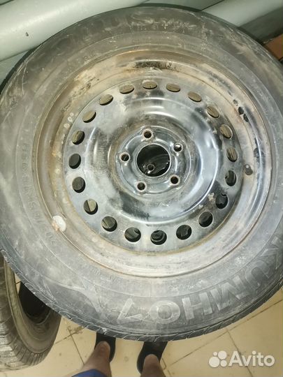 Acustica Challenger 2.25/4.5 R4