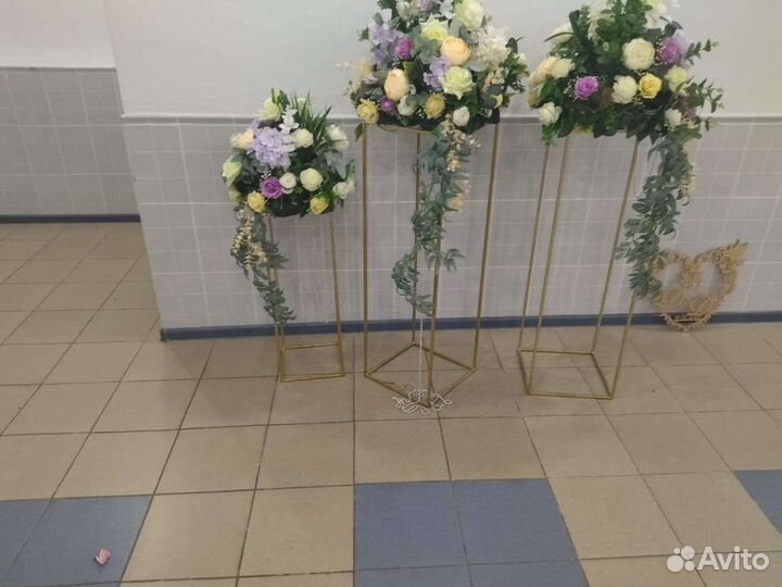 Призидиум,тумбы,цветы