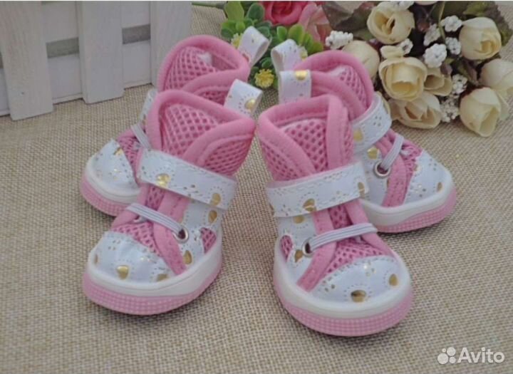 Кеды для собачки