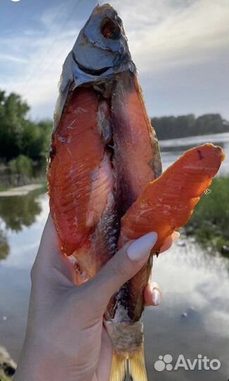 Астраханская вяленая вобла