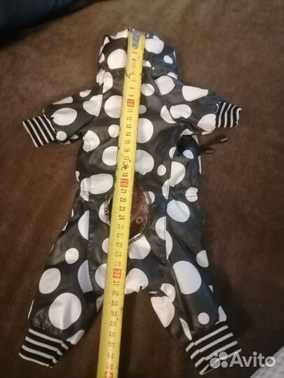 Одежда для маленьких пород собак