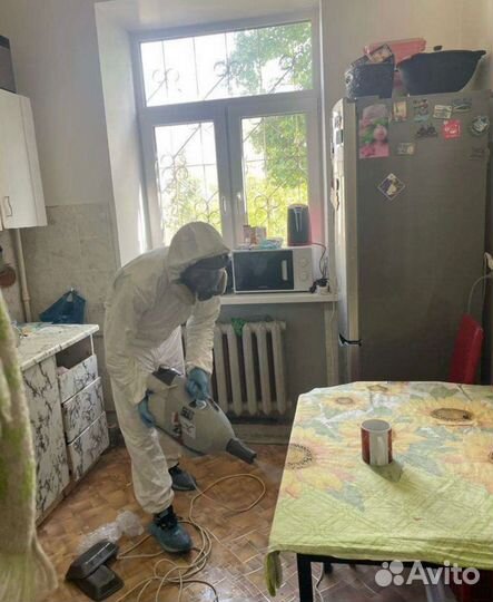 Уничтожение клопов.тараканов.дезинфекция