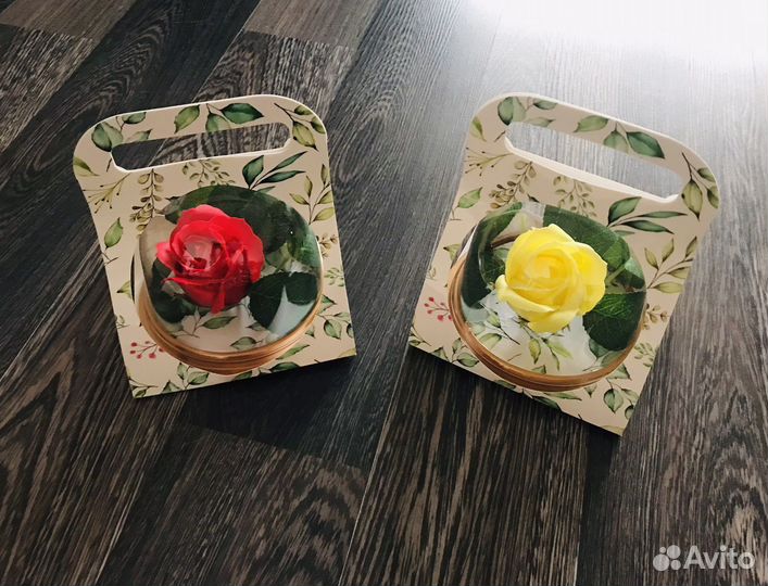 Роза в куполе