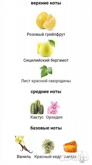 Отливанты/распив Calvin Klein 