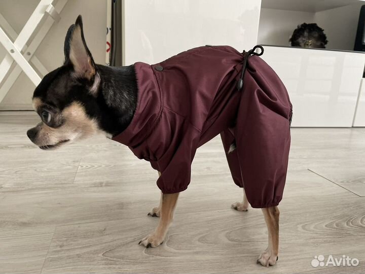 Дождевик для маленькой собаки