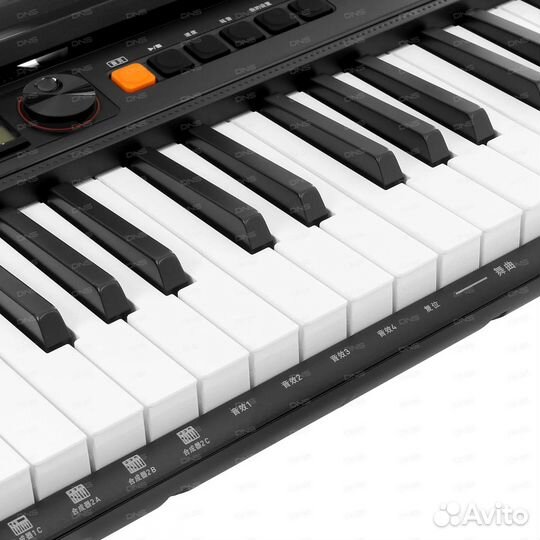 Синтезатор для обучения Casio CT-S200 + Стойка