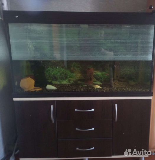 Аквариум с тумбой 200 литров