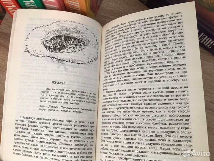 Зелёная серия