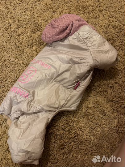 Комбинезон для собаки