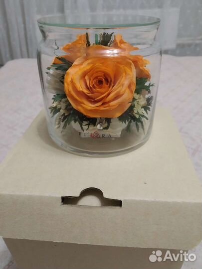 Живые цветы на 5 лет