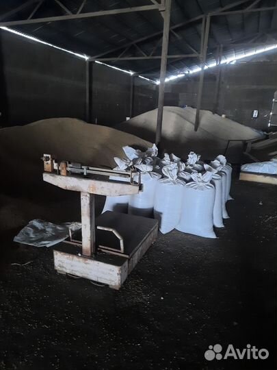 Ячмень пшеница горох