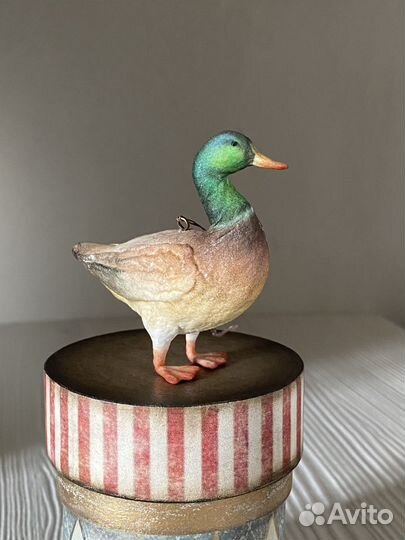 Ватная игрушка. Уточка (селезень)