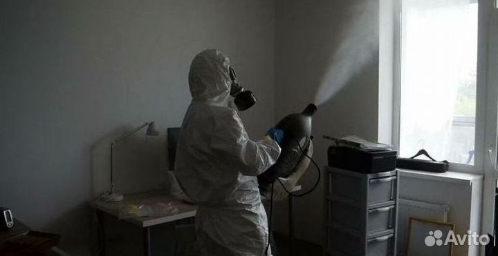 Уничтожение блох тараканов Дезинфекция