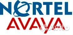 Предлагаю услуги по поддержке упатс Nortel / Avaya