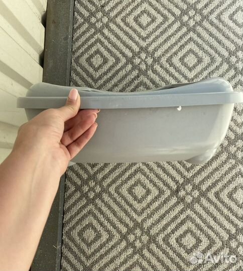 Кошачий лоток