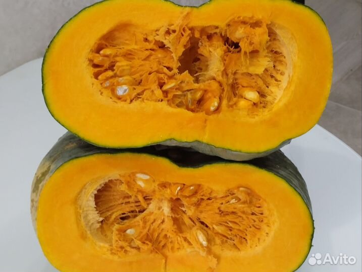 Тыква домашняя