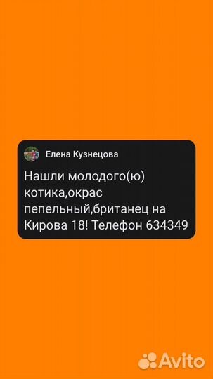 Найдена кошка