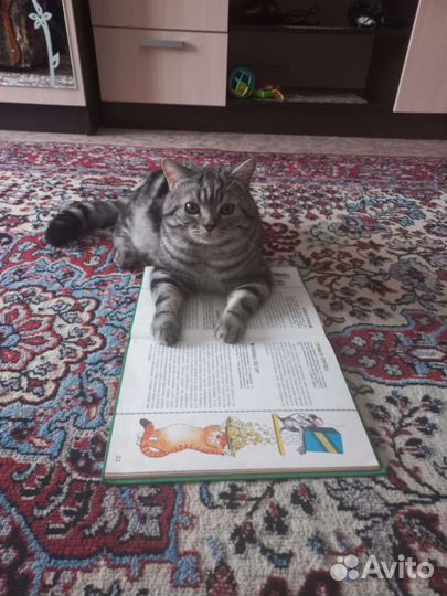 Вязка