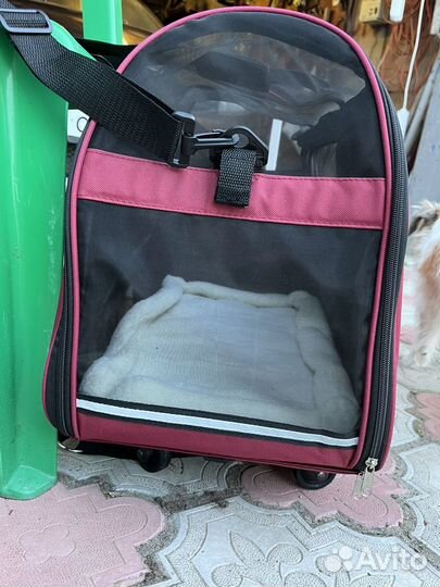 Переноска для собаки и кошек