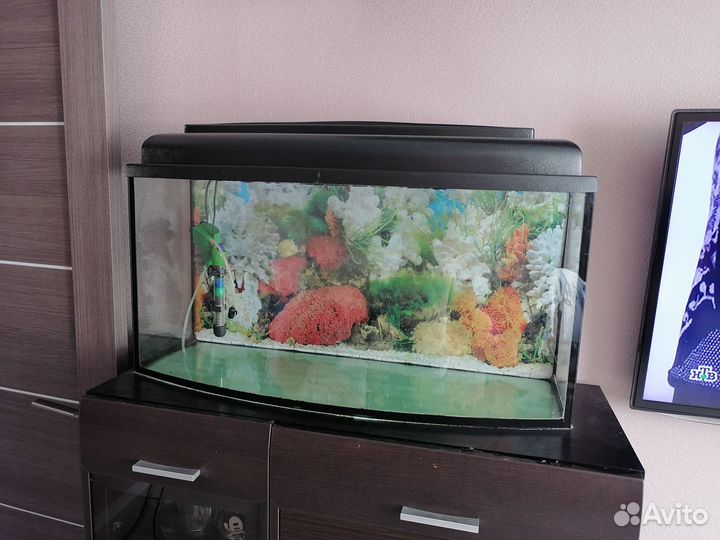 Аквариум