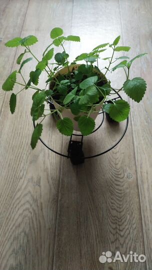 Подставки и держатели металлические