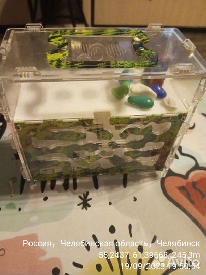 Игрушки Ферма животные