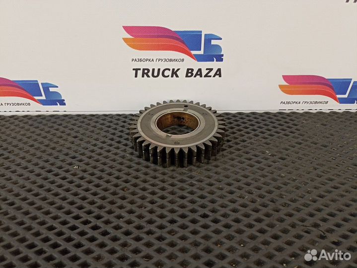 51542106042 Шестерня грм Man TGA, Man TGS, Man TGX