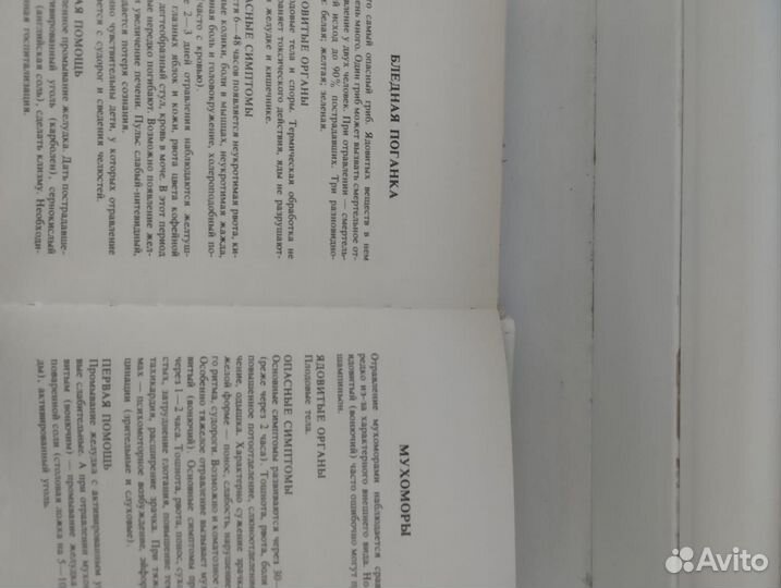 Справочник грибника карманный