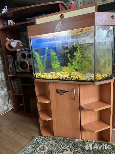 Аквариум с тумбой угловой