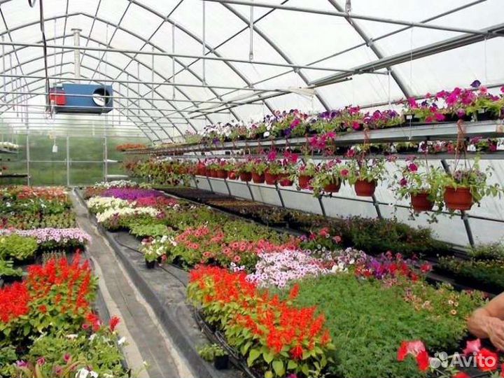 Рабочие в теплицу