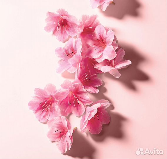 Dolce & gabbana туалетная вода