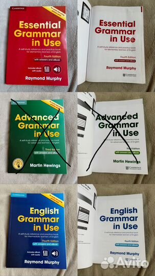 English grammar in use murphy