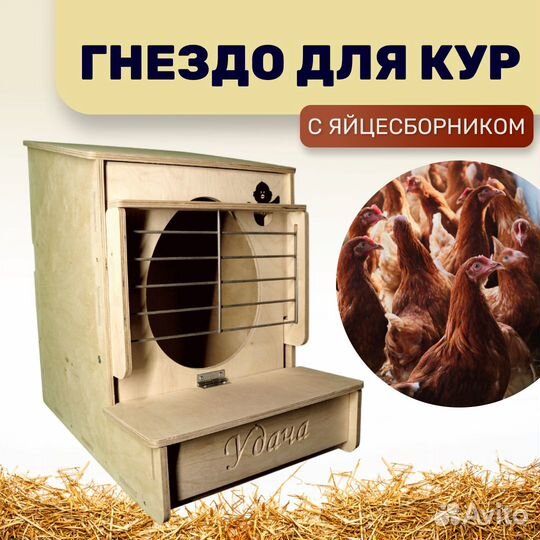 Гнездо для кур с яйцесборником
