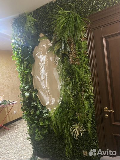 Вертикальное озеленение