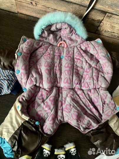 Одежда для собачки (мальчика) пакетом 25см