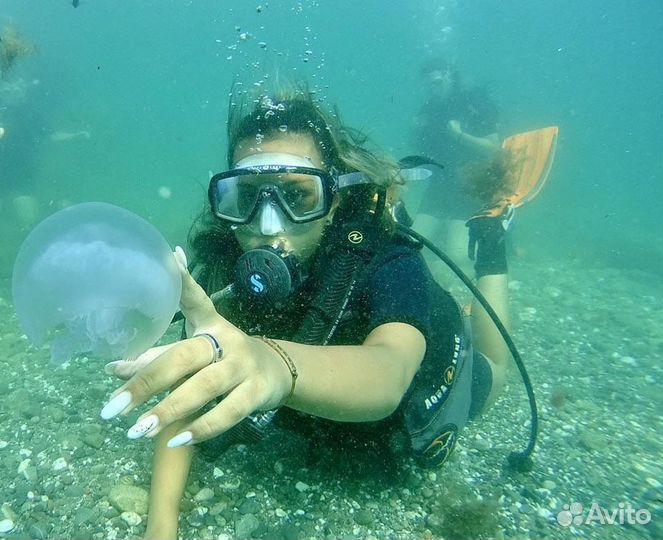 Дайвинг в Судаке