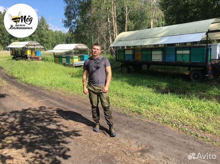 Мёд башкирский свежий. Собственная пасека