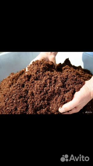 Чернозём беагумс