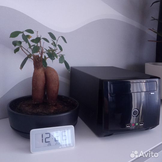 Synology DS918+ / XPEnology