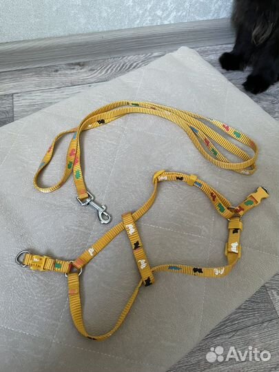 Ошейник и поводок для собаки\кошки