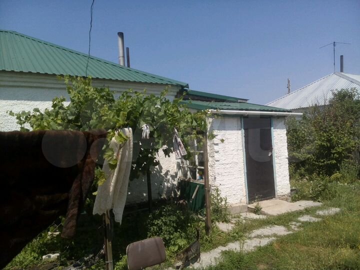 Снять 1,комн кв в г рубцовск. Авито рубцовск сниму. Авито рубцовск сниму. Продажа коттеджей рубцовск. Авито рубцовск доска бесплатных объявлений.