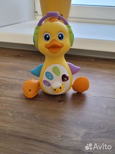 Музыкальная утка