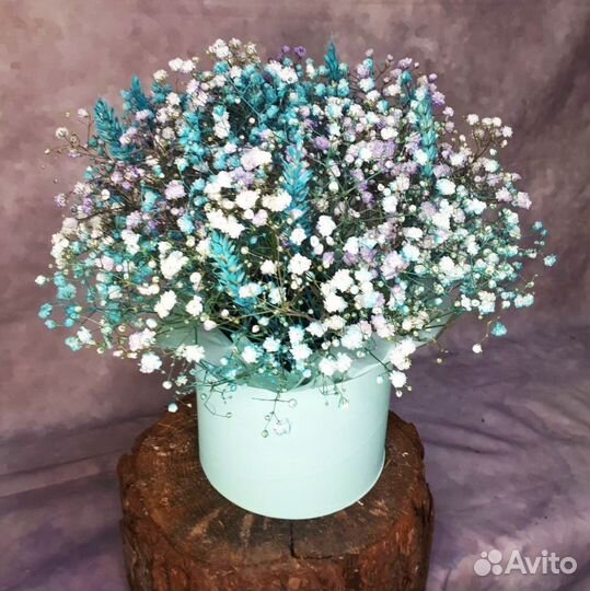 Цветы гипсофилы