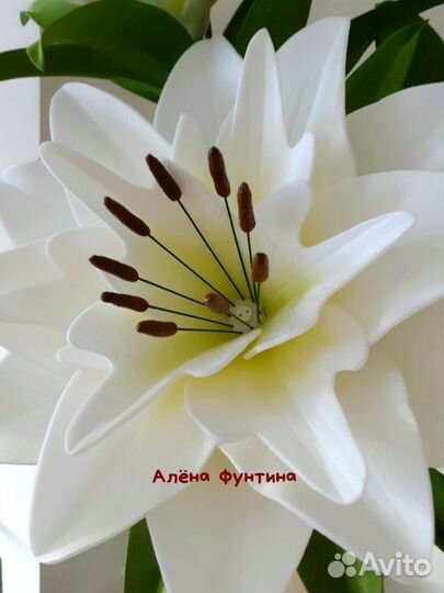 Молд лепестка Лилии