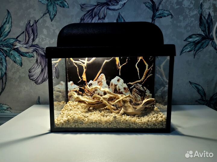 Новые настольные аквариумы